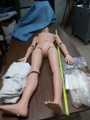 $1259.10 • Buy Simulaids Als Adult Stat Airway Management Intubation Full Body Manikin