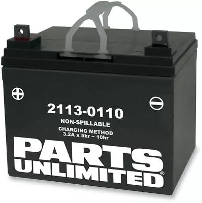 Parts Unlimited AGM Maintenance-Free Battery Moto Guzzi YTX15L-BS 2113-0020 • $81.95