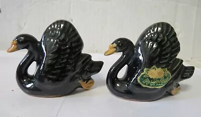 Beautiful Set Of Rosemeade Salt And Pepper Black Swans • $49.95