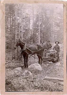 THREE MEN LOGGERS POSE BY HORSE-DRAWN SLEIGH IN THE WOOD ORIGINAL Ca 1900s PHOTO • $45