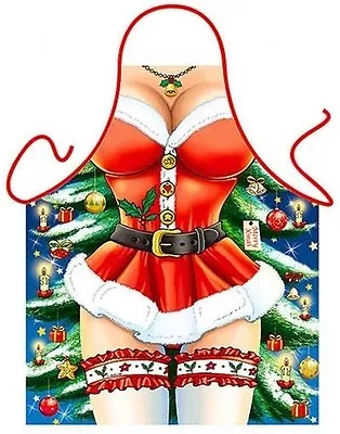 Mrs.Claus Christmas Kitchen Apron Women Holiday One Size 100% Polyester ITATI • $16.98