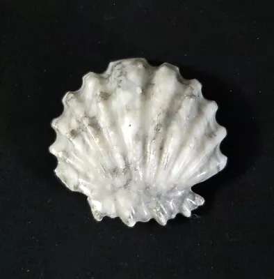 Grey/White Clam Shell Natural Stone Marble Pattern Paperweight Pre-Owned • $5