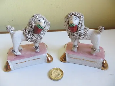 Poodle Dog Pair Antique Old Staffordshire Pottery White Dogs With Flower Basket • £42