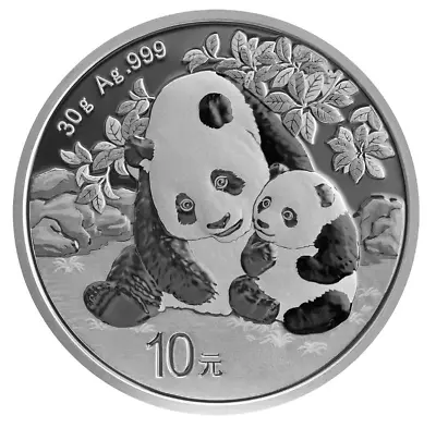 2024 China 30 Gram .999 Fine Silver Panda 10 Yuan BU In Capsule • $42.95