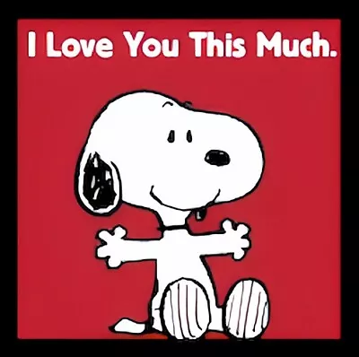 I Love You This Much Friends Family Snoopy Charlie Brown Peanuts • $4.73