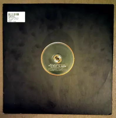 POWER TOOLS 19 - Ant & The Geezer – It's What Ya Know (Acid Techno Vinyl Record) • $8.83