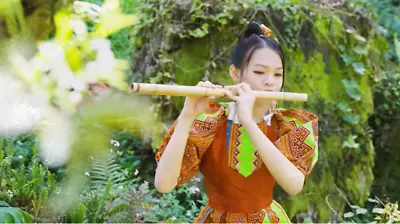 Double Cat Flute (Sao Meo) H'Mong Vietnamese Handmade Bamboo Musical Instrument • $74.99