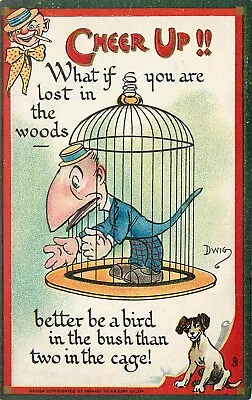 Embossed Tuck Postcard Cheer Up 176 Artist Dwig Anthropomorphic Bird Man In Cage • $13.99