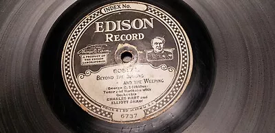 Edison Diamond Disc Record #6737 / #4539 • $25