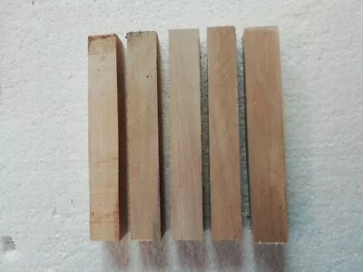 5 Holly Pen /craft Blanks Woodturning • £7.75