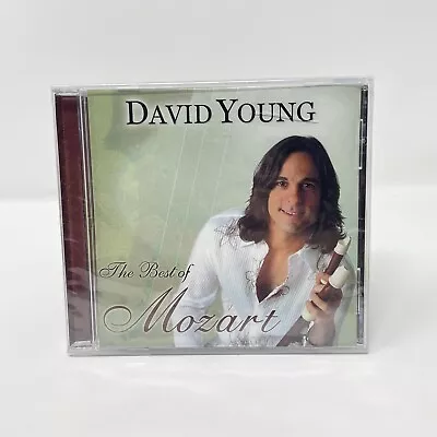 David Young - The Best Of Mozart (CD 2009) Classical Rock - Sealed With Crack • $12.99