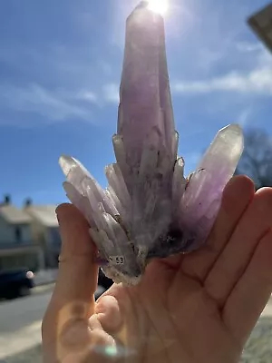 *RARE* Guerrero Amethyst Trident - Amatitlan Guerrero Mexico *Famous Coll.* • $650