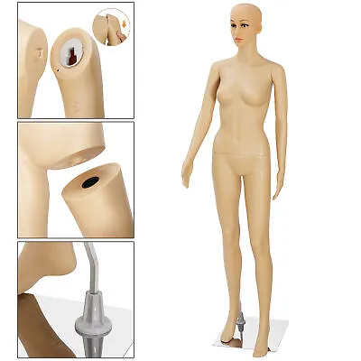 Female Mannequin Full Body PP Realistic Display Head Turns Dress Form With Base • $61.89