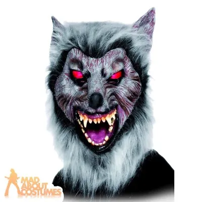 £15.99 • Buy Adult Wolf Mask + Hair Rubber Prowler Werewolf Book Day Halloween Fancy Dress