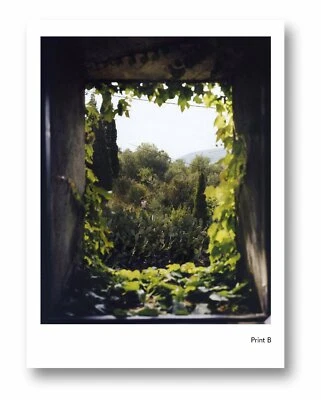 $1000 • Buy Signed W/print - Alec Soth I Know How Furiously Your Heart Is Beating 1/150 Mint