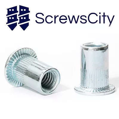 £2.59 • Buy Zinc Rivet Nuts Threaded Rivnuts Jack Nuts Blindnut Insert Nutserts Open End 