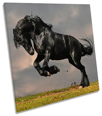 Black Stallion Horse SQUARE CANVAS WALL ART Picture Print • £26.99