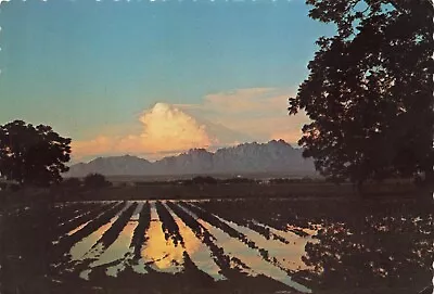 Postcard NM Las Cruces The Crosses Sunset Organ Mountains Chihuahuan Desert • $6.01