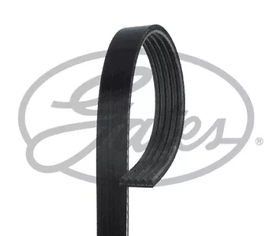 V-Ribbed Belt For VW TOYOTA SMART SKODA SEAT PONTIAC PEUGEOT MITSUBISHI BUICK • $23.36