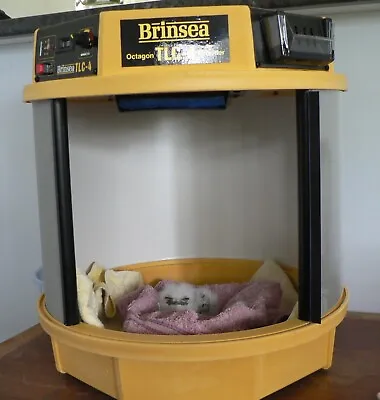 Brinsea TLC-4 Brooder Incubator - TLC-50 RCOM Alternative • £500