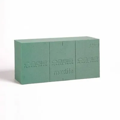 OASIS® Floral Foam Base Maxlife Bricks Qty Options Block Tray • £14.99