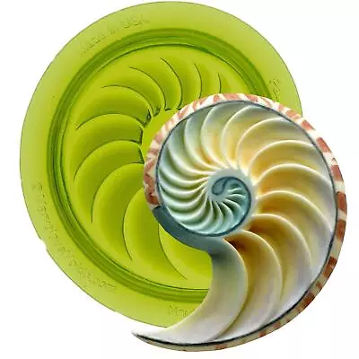 Nautilus “Left” Shell Silicone Mold For Cake Decorating With Fondant And Gump... • $30.92