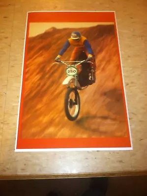 Vintage Husqvarna Dirtbike Advertisement Poster Man Cave Gift Art Decor D3008 • $14.99