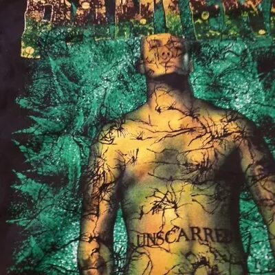 Vintage Pantera Weed Leaf Phil Anselmo Super Rare Mint 90s Metal T.Shirt • $300