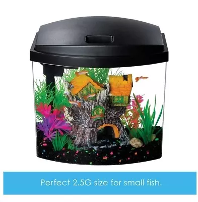 2.5 Gallon Aquarium Starter Kit Glass Plants Fish Tank Black Hood Small Office • $82.40