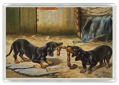 Dachshund Dogs & Sausages Dog Art Print Novelty Fridge Magnet Great Gift • £3.49