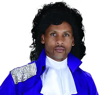 80's Pop Star Wig Prince Purple Rain Singer Black Hair Curly Movie Rogers Nelson • $25.84