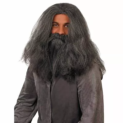 Men`s Grey Wizard Wig & Beard Set For Adult Sorcerer Costume Halloween • $22.95