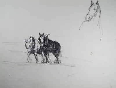 Original Pencil Drawing 'Study Of Heavy Horses'  Nan C. Livingstone • £36