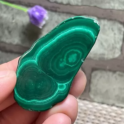 Malachite Slab / Slice  Polished Gemstone Mineral Specimen Congo   18g  M7032 • $3.25