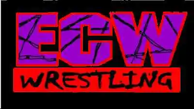 Various ECW Wrestling DVD Rare OOP WWF WWE WCW FREE POST • £19.99