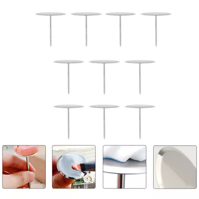 10pcs Icing Flower Nail Cake Flower Nail Cake Decorating Nail • $11.58