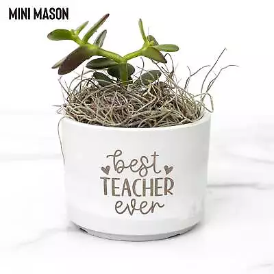 Best Teacher Ever Potted Desk Plant • $34.99