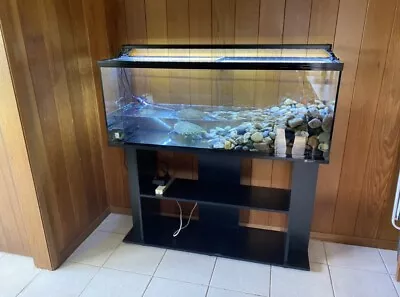 $550 • Buy Fish / Reptile Tank 4ft With Stand & Filter