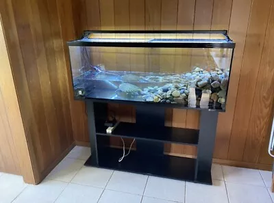 Fish / Reptile Tank 4ft With Stand & Filter • $550