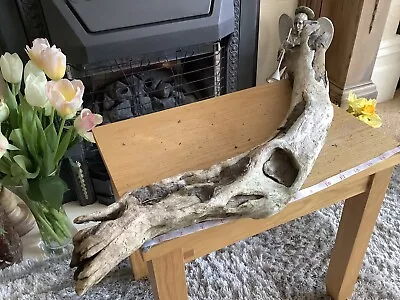 £6.99 • Buy Driftwood , Aquarium, Vivarium, Art, Craft,shop Window/Floral Display,