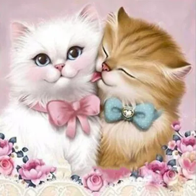 $15.62 • Buy Diamond Painting Cat 30*30cm DIY Exquisite Embroidery Fashion Cross Crafts Kit