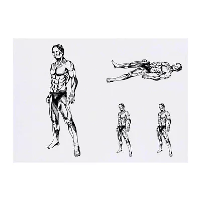 4 X 'Muscular Figure In Side Stance' Temporary Tattoos (TO00072536) • £5.99