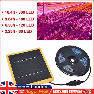 £14.59 • Buy Solar LED Plant Grow Light Strip Full Spectrum 5V Phyto Lamp For Greenhouse Tent