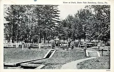 Corry PA~View Of Park~State Fish Hatchery~Gazebo~1930s B&W Postcard • $7
