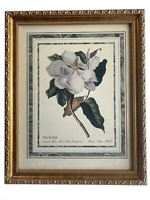 MAGNOLIA Rand. Hort. Chelf Maximo Flore - Print In GOLD Frame 16x12.75  -NO MAT • $49.99