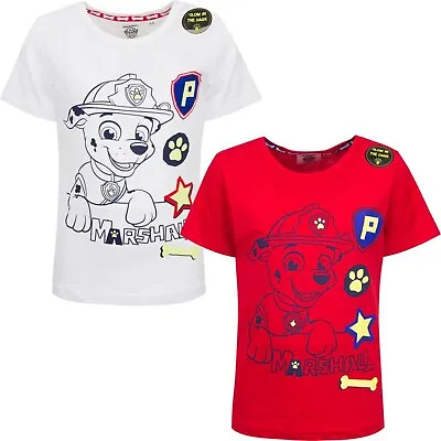 £8.99 • Buy Official Paw Patrol Marshall Boys T-Shirt Top Glow In The Dark 3-6 Years