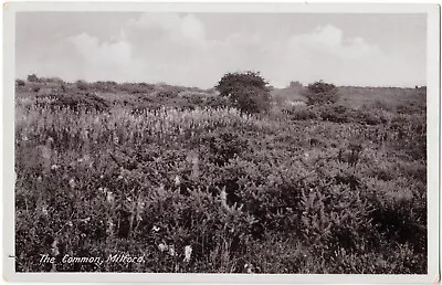 £3.49 • Buy Staffordshire Postcard THE COMMON, MILFORD Near STAFFORD