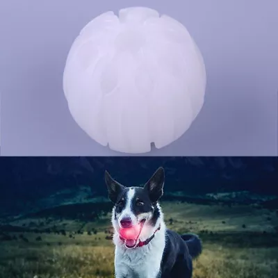 £11.63 • Buy LED Volleyball Flashing Light Color Changing Bouncing Hedgehog Ball Dog Toy Ww