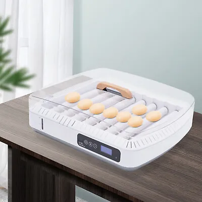 35 Eggs Digital Incubator Temperature Control Automatic Turning Chicken Hatcher • £95.95