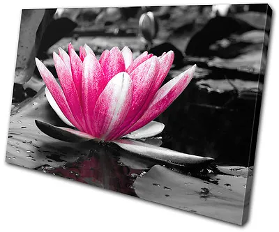 Floral Water Lily Flowers SINGLE CANVAS WALL ART Picture Print VA • £39.99